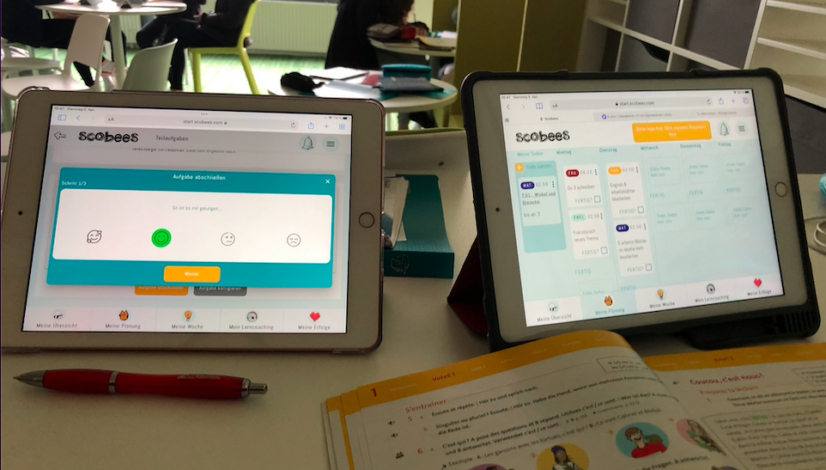 feedbacks individuell